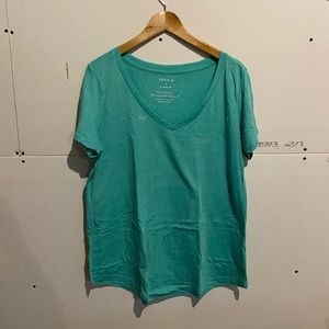 Torrid V-neck tshirt.